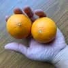 超小玉(1玉100g程度) 5kg