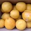 家庭用 4kg サイズ大小混合