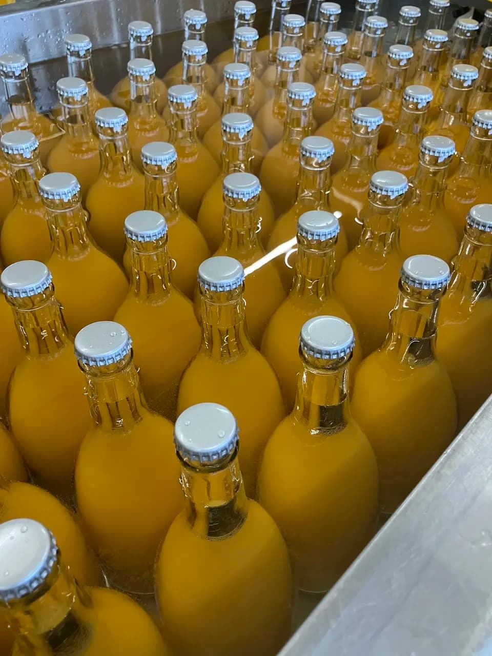 【お中元にも】愛媛県産オーガニック温州みかん100%使用ストレートジュース 720ml 3本セット