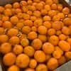 サムネイル 11
