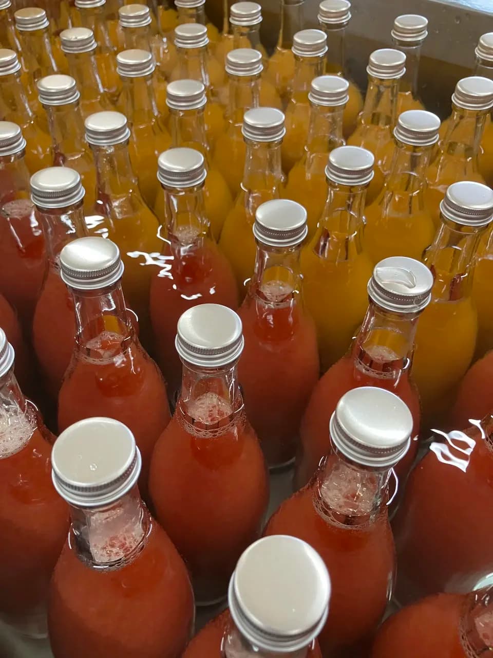 【父の日/お中元にも】愛媛県産オーガニック柑橘100%使用ストレートジュース 500ml 2本セット