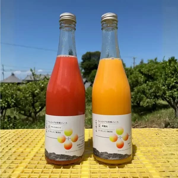 【お中元にも】愛媛県産オーガニック柑橘100%使用ストレートジュース 500ml 2本セット