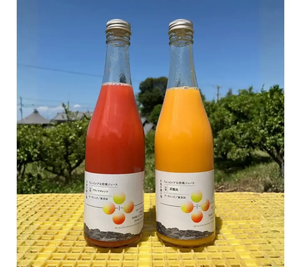 【父の日/お中元にも】愛媛県産オーガニック柑橘100%使用ストレートジュース 500ml 2本セット
