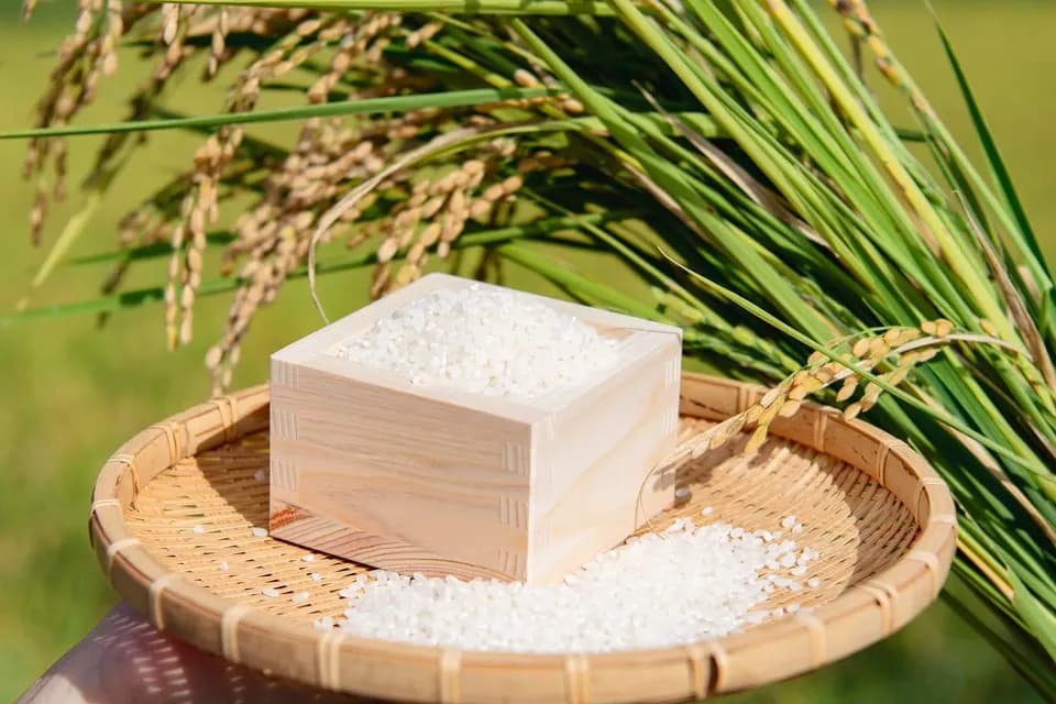 岐阜県産＜いのちの壱＞農薬・化学肥料不使用
