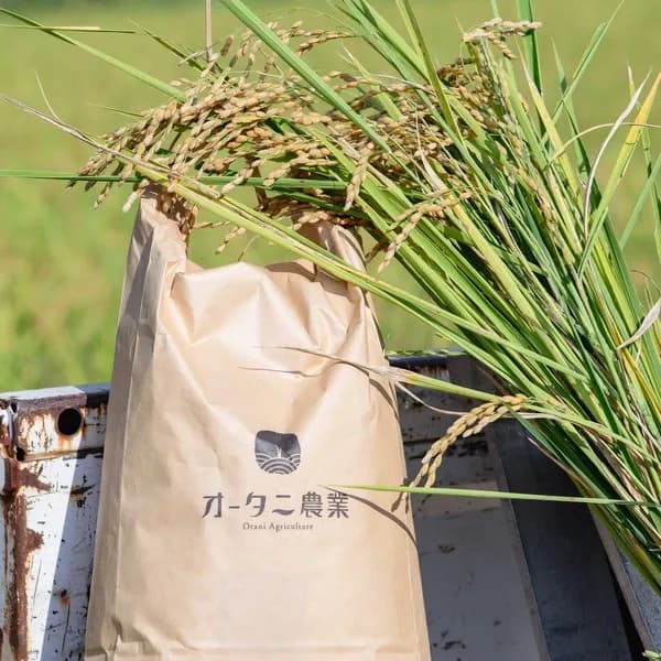 【新米】令和８年度産 岐阜県産＜いのちの壱＞農薬・化学肥料不使用