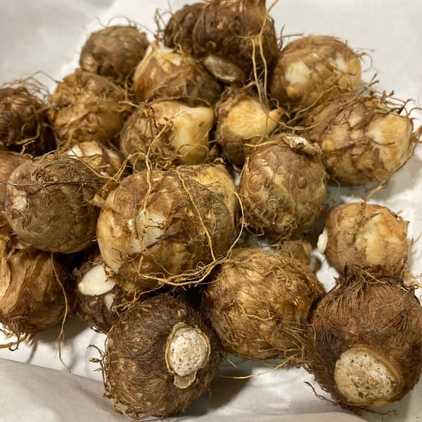 家庭用250g
