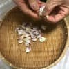 鱗片 500g