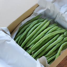 家庭用500g