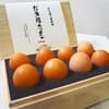 60サイズ