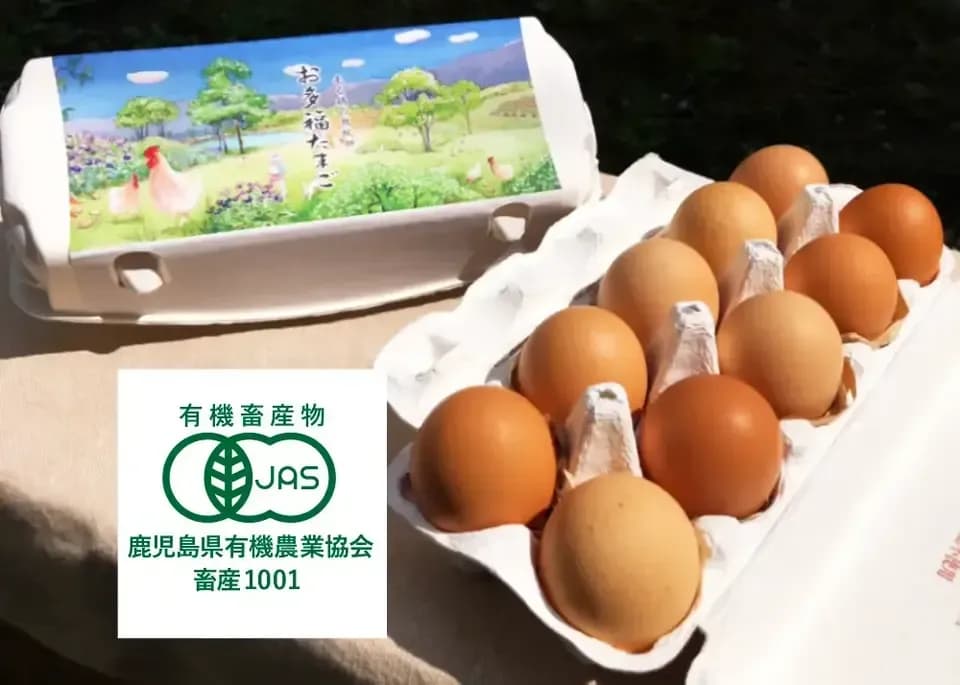 【生涯ワクチン不使用】オーガニック放し飼い卵「お多福たまご」10個入＜有機鶏卵・走る鶏の放牧卵＞【内祝・贈答】