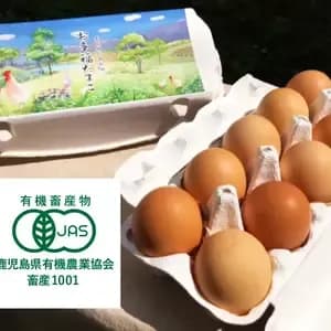 【生涯ワクチン不使用】オーガニック放し飼い卵「お多福たまご」10個入＜有機鶏卵・走る鶏の放牧卵＞【内祝・贈答】