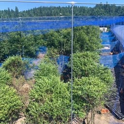 鶏の「アニマルウェルフェア」を養鶏場が考える〜５つの自由〜
