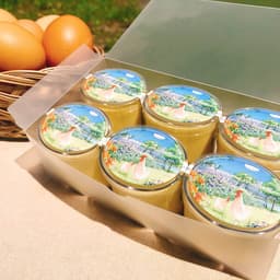 スイーツのお取り寄せは、「走る鶏の濃厚プリン」
