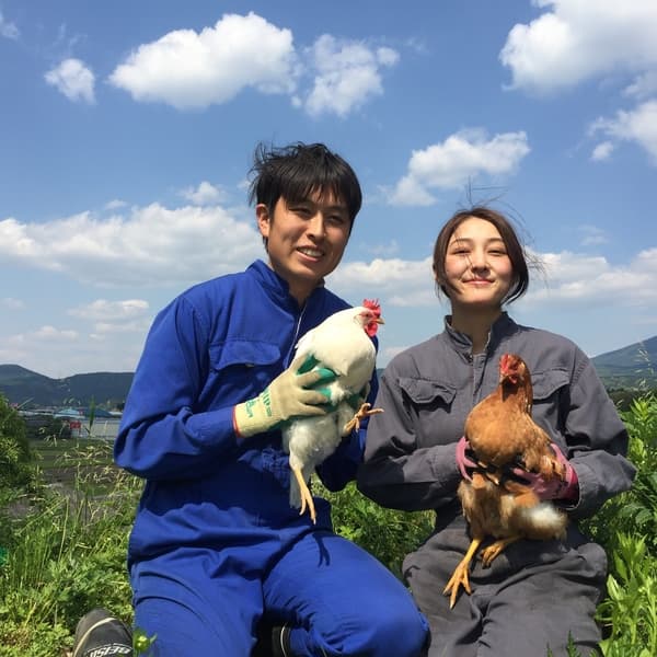 自然放牧場 お多福たまごプロフィール画像