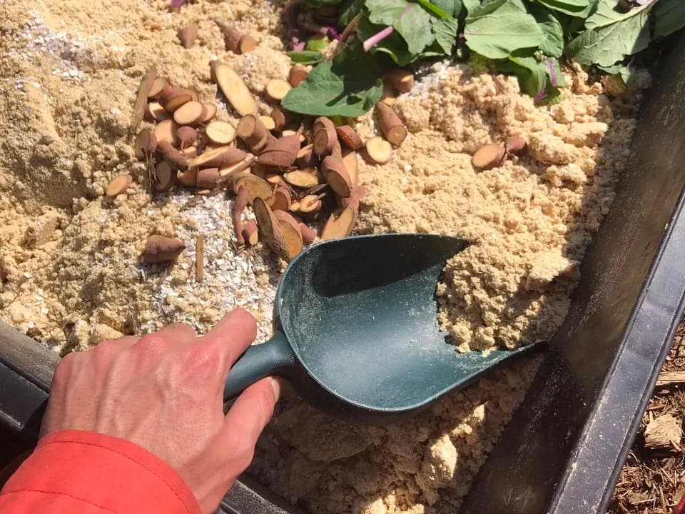 自然養鶏の放し飼い＜湘南大磯・平飼い卵＞自家製発酵飼料と天然の緑肥で飼育
