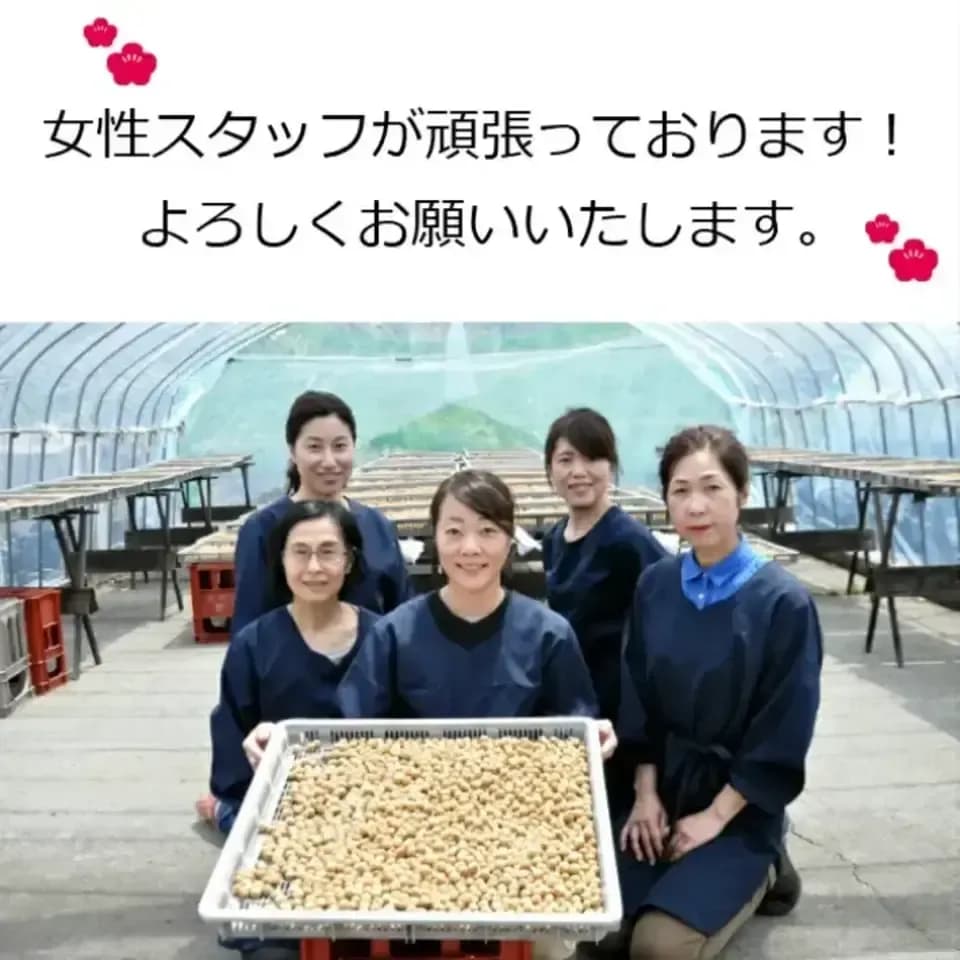 保存料・着色料・科学調味料不使用＜延年干梅＞郡上の名水で昔ながらの手仕込みしょっぱい干し梅