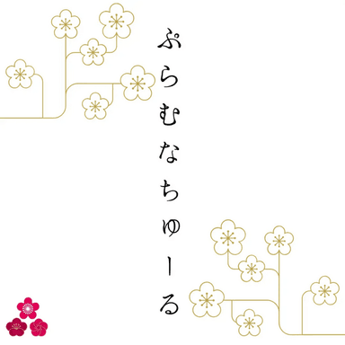 ぷらむなちゅーるについて