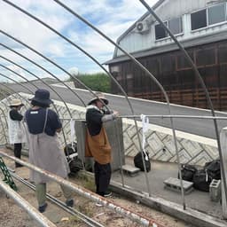 【秋の訪れと、夏の思い出】梅の土用干しハウスを撤去しました