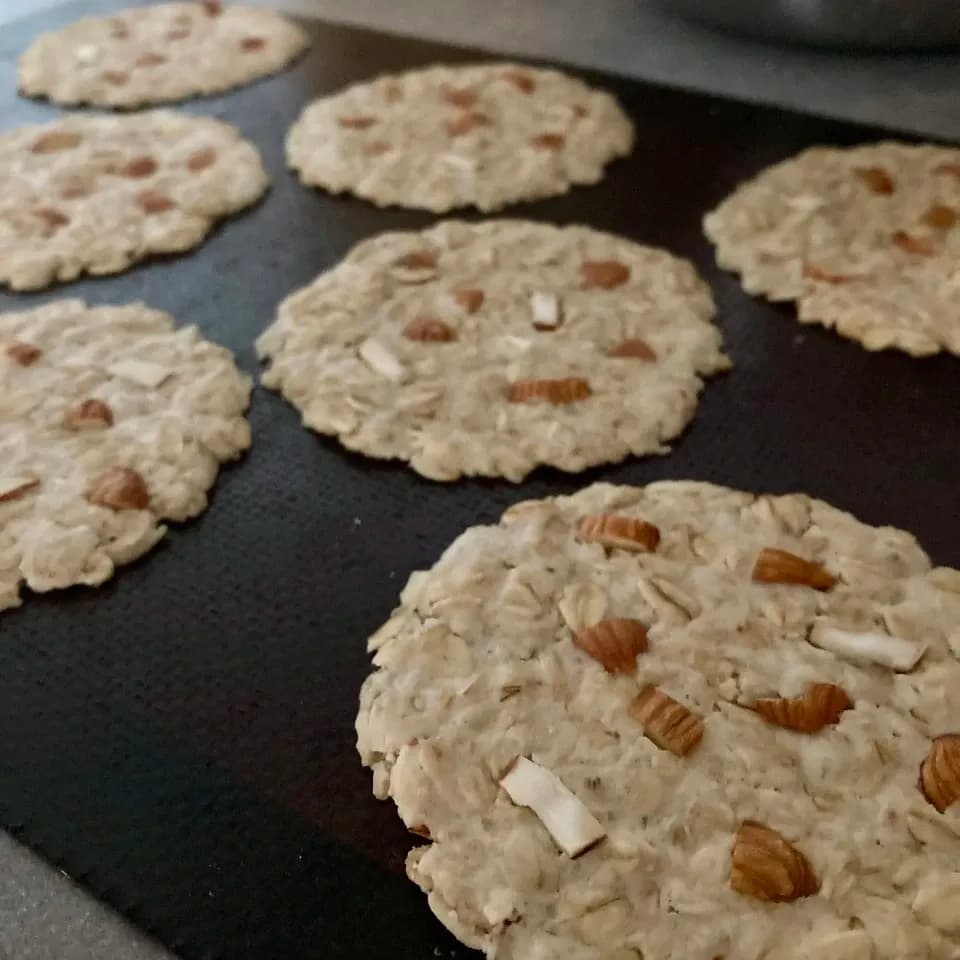 有機オートミールのクッキー　100%無農薬・有機食材〈甘味料不使用で甘くない〉砂糖・小麦・卵・乳製品・大豆・食品添加物不使用