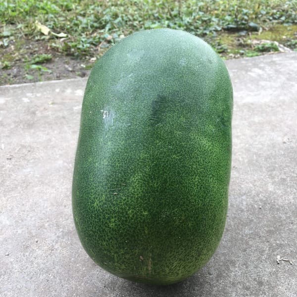 2〜3kg/個