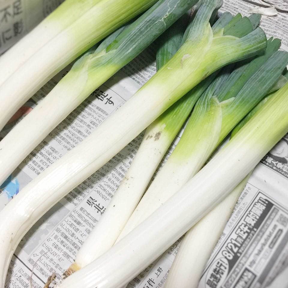 松本一本葱 肥料・農薬不使用