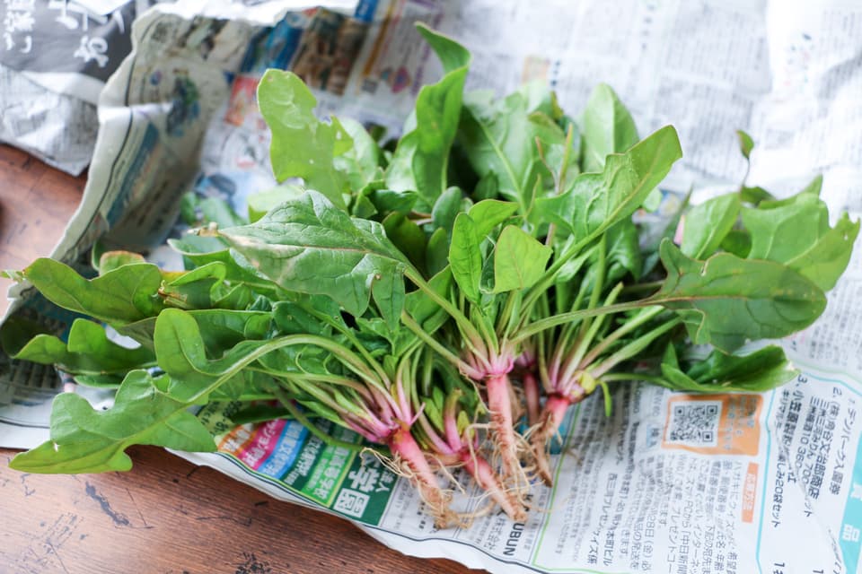 定期購入季節の旬野菜セット