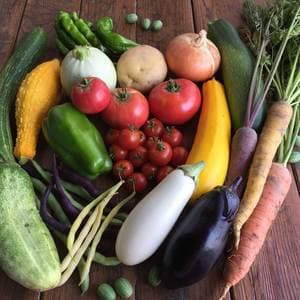 【農薬・肥料不使用】季節の旬野菜セット