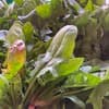サムネイル 4