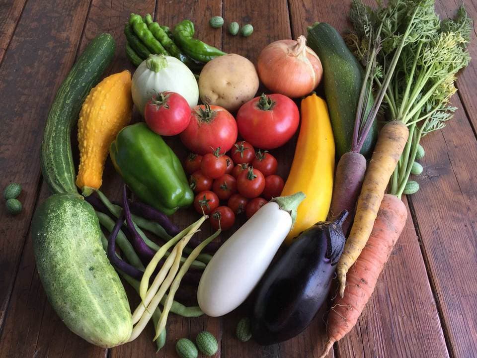定期購入季節の旬野菜セット