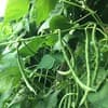 サムネイル 1