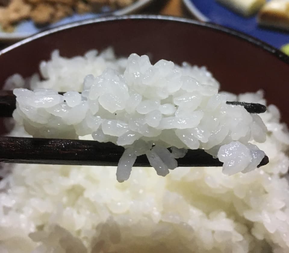 くさむら米 コシヒカリ 令和三年度産 玄米（天日干し / 農薬・肥料不使用）
