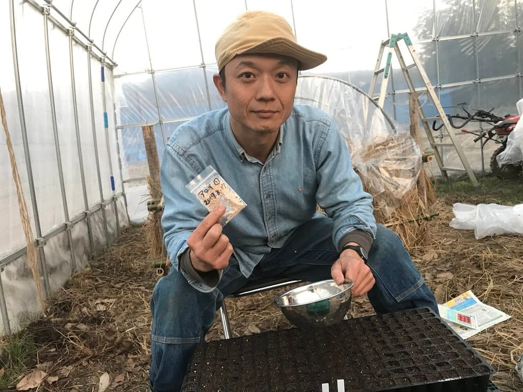 夏野菜の種蒔き