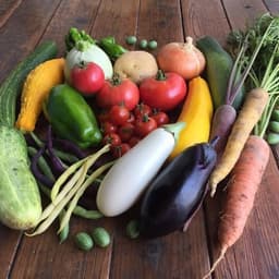 野菜セット再販！
