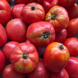 夏野菜全開！
