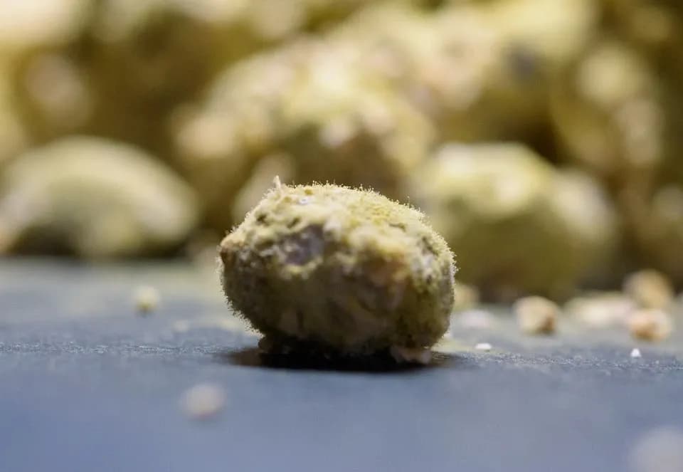 栄醤油 天