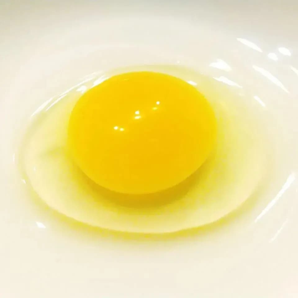 国産飼料の放牧有精卵「君は太陽」静岡発・サステナブルな循環型たまご