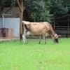 サムネイル 8