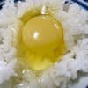 サムネイル 3