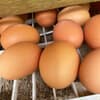 サムネイル 13