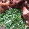 サムネイル 12