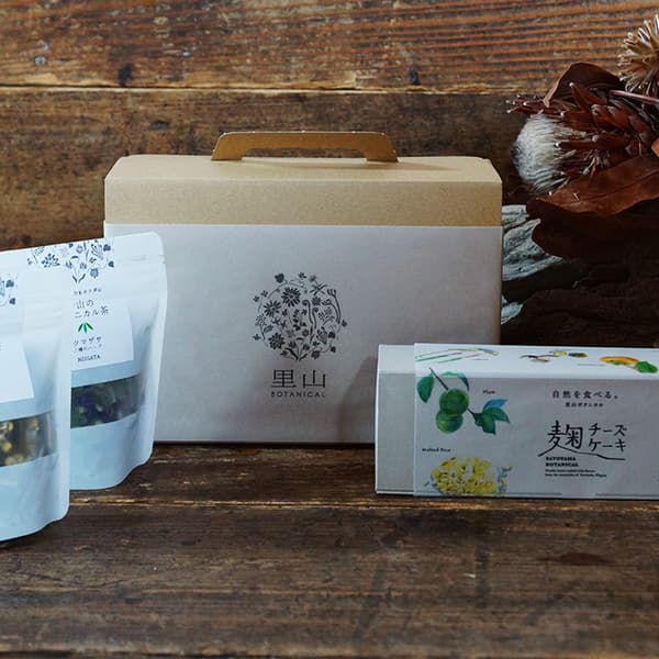 【ギフトセット】麹チーズケーキ（無添加・グルテンフリー）と野山のボタニカル茶［里山ボタニカル］