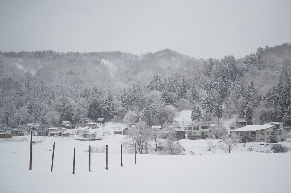 越後やすづか  雪むろの塩 