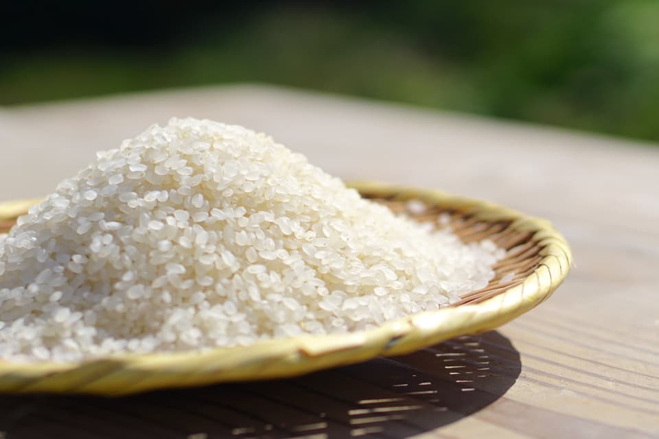 【2025年産・白米5kg】農薬・化学肥料不使用／新潟県産コシヒカリ（一等米）