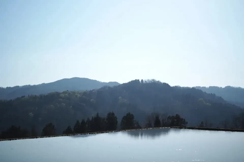 【2025年産・白米5kg】農薬・化学肥料不使用／新潟県産コシヒカリ（一等米）
