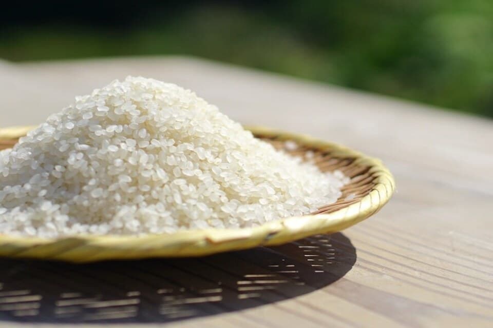 3kg【雪室貯蔵】令和6年度産 / 雪国棚田米（コシヒカリ）~農薬・化学肥料不使用~（新潟）