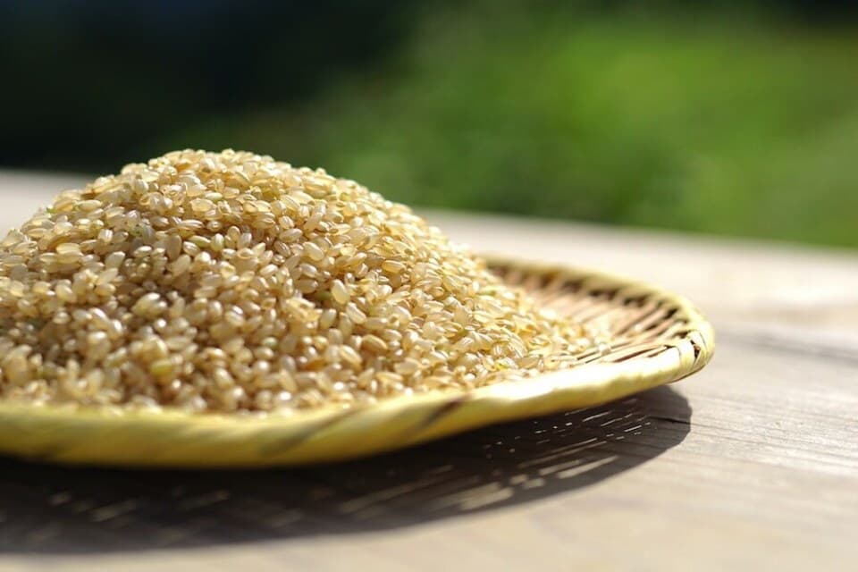 3kg【雪室貯蔵】令和6年度産 / 雪国棚田米（コシヒカリ）~農薬・化学肥料不使用~（新潟）