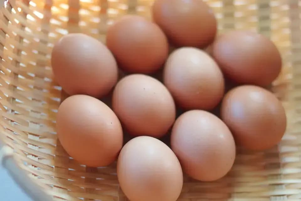【父の日に】夏の果実とフランボワーズの麹チーズケーキ（無添加・グルテンフリー）