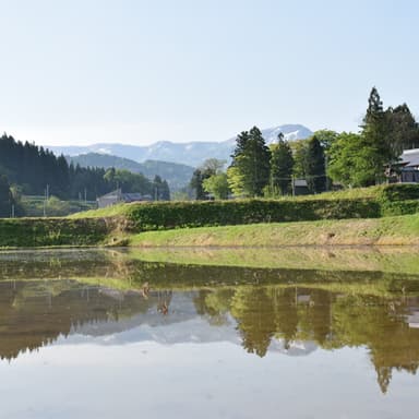 もうすぐ田植えがはじまります