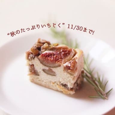 【11/30まで！】秋のたっぷりいちじく