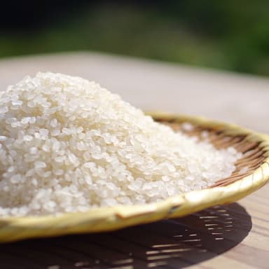 【夏割！8/18まで25%OFF】農薬化学肥料不使用の雪国棚田米が夏割価格でお試しいただけます！